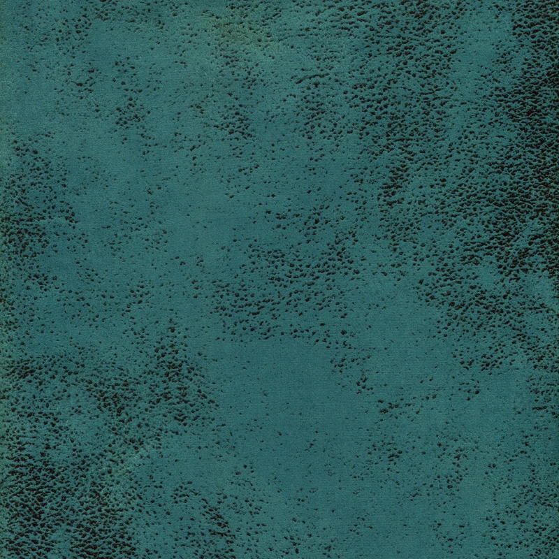 28809.jpg