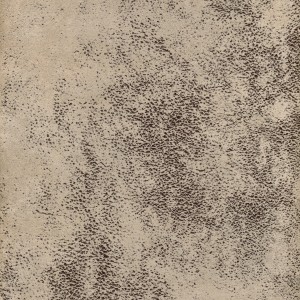 28800.jpg