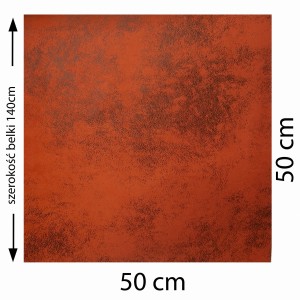 43011.jpg