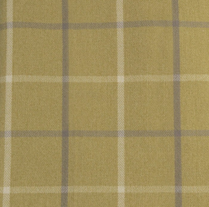 WINDOWMUSTARD.jpg