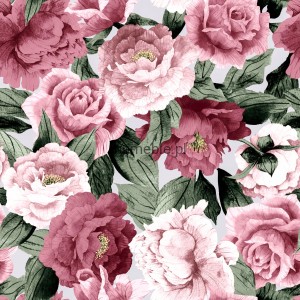 peonypink.jpg