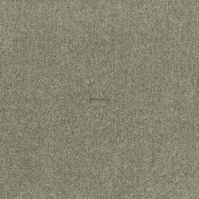 OLIVE.jpg