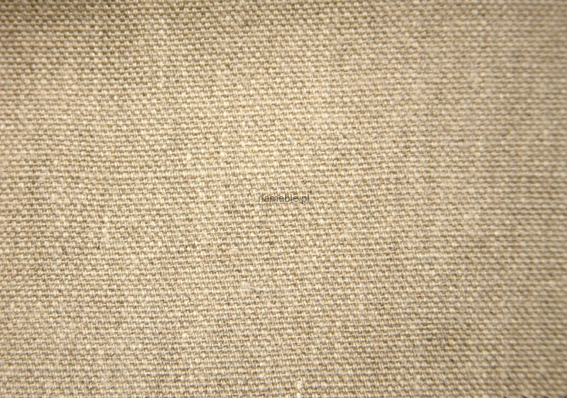 LINO2.jpg