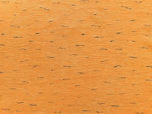 38907.jpg