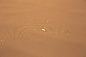 44755.jpg