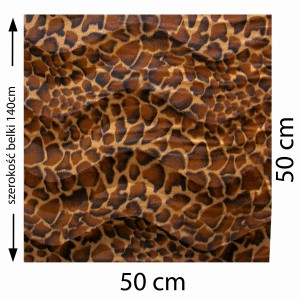 43994.jpg