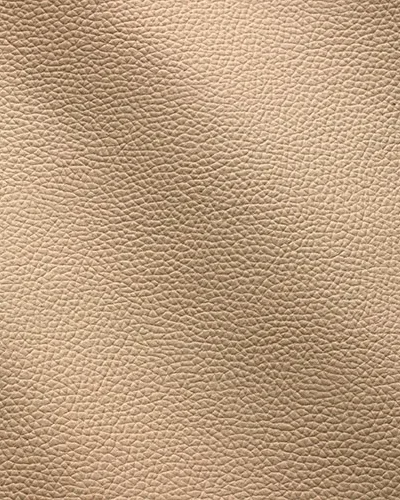 Zenith-Cammello_9047-400x500.webp