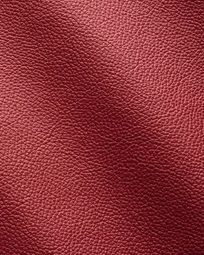 Zenith-Bordo_9017-400x500.webp