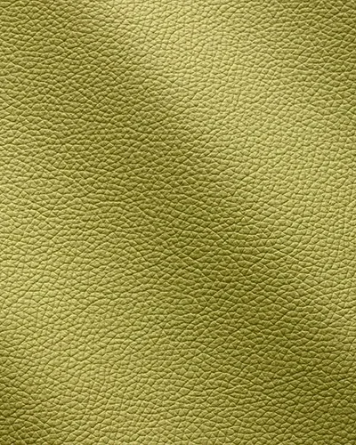 Zenith-Lime_9036-400x500.webp