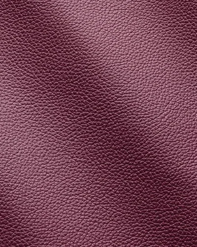 Zenith-Petunia_9042-400x500.webp
