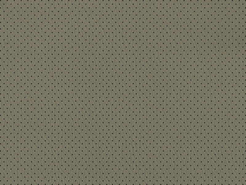Imola_Perforated_100844.jpg