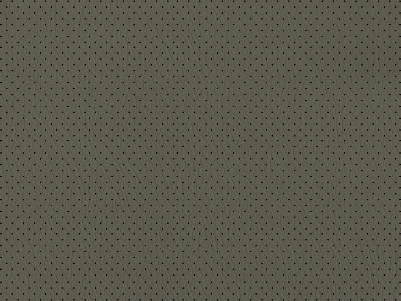 Imola_Perforated_100954.jpg