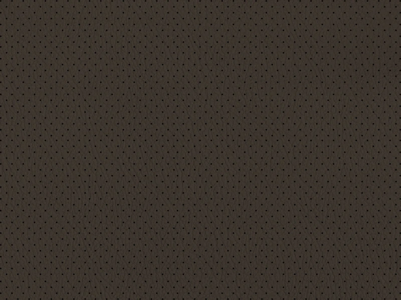 Imola_Perforated_101584.jpg