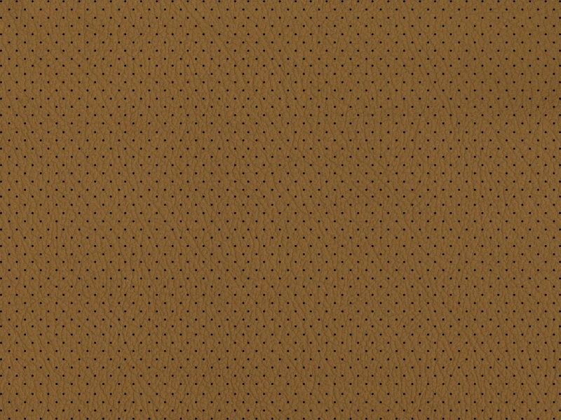 Imola_Perforated_101129.jpg