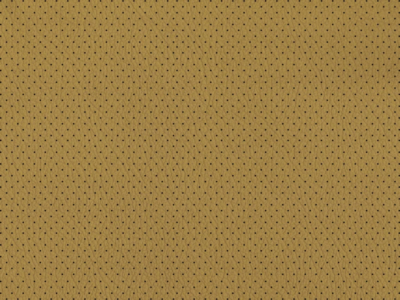 Imola_Perforated_101035.jpg