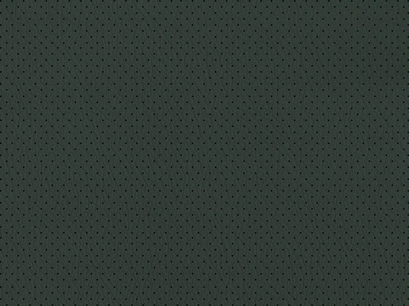 Imola_Perforated_100336.jpg