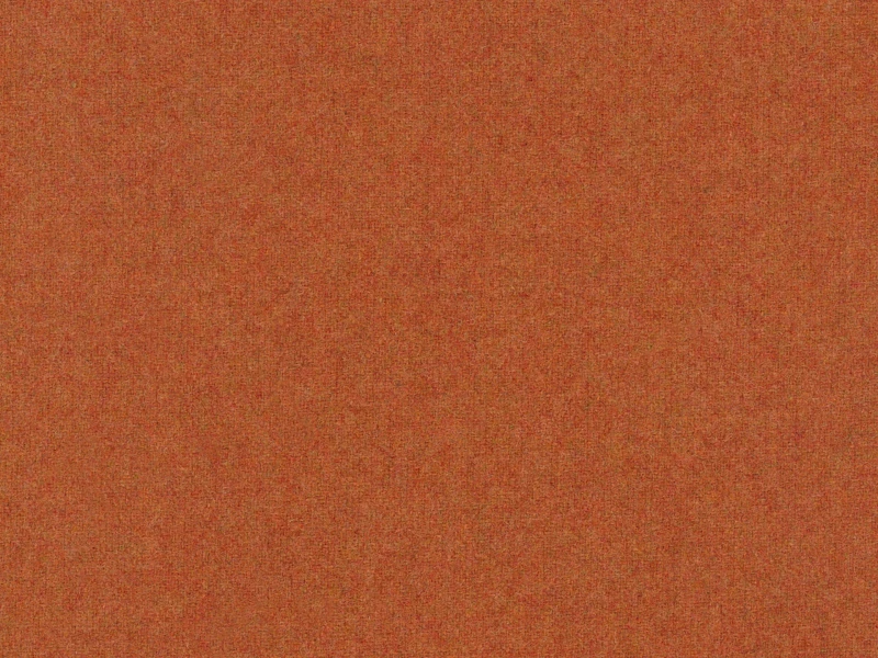 Woolland_29.jpg