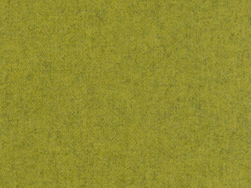 Woolland_08.jpg
