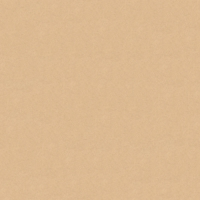 50792.jpg