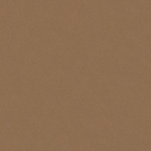 50813.jpg