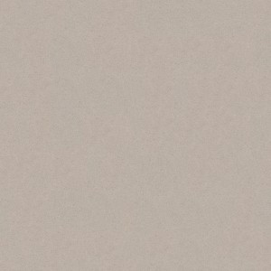 50873.jpg