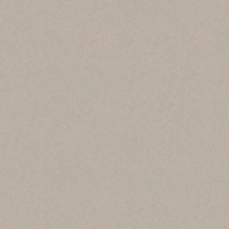 50873.jpg