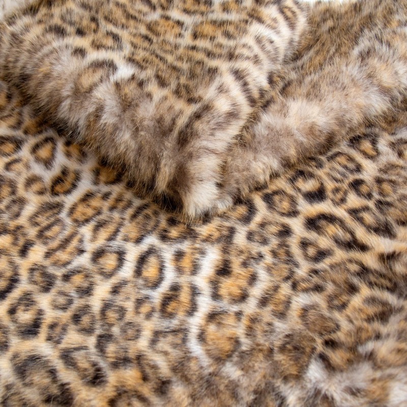 51611.jpg