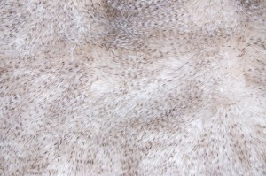 51621.jpg