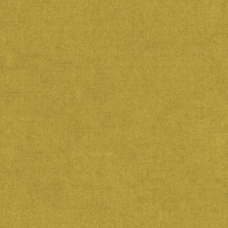 39730.webp