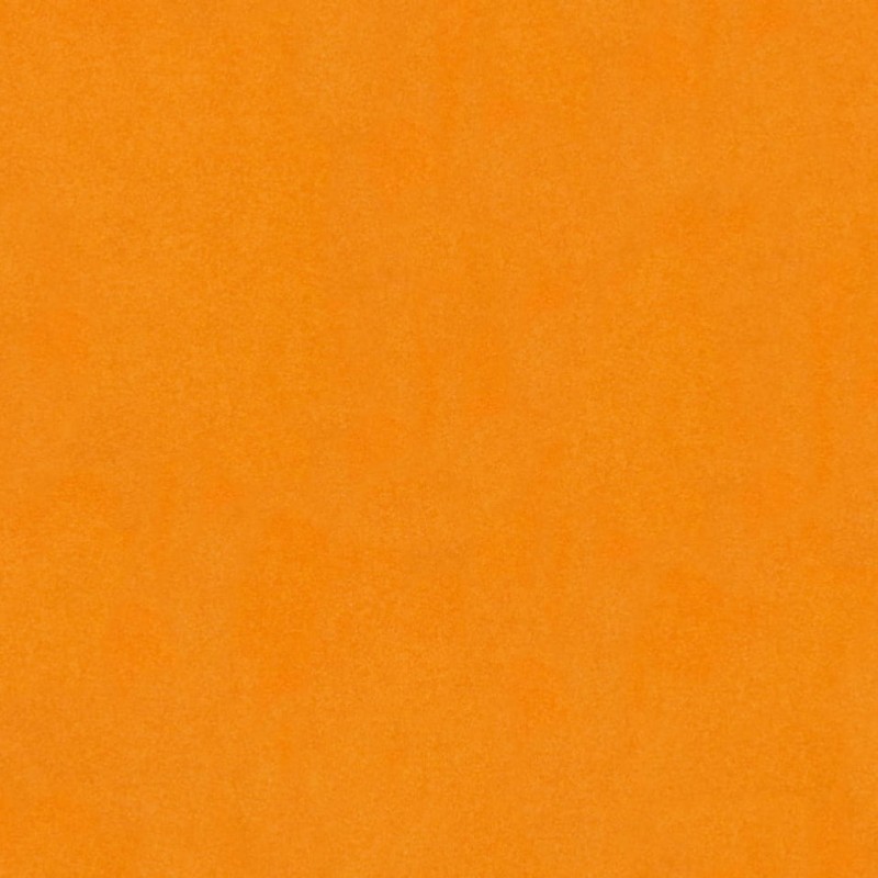 6972.jpg