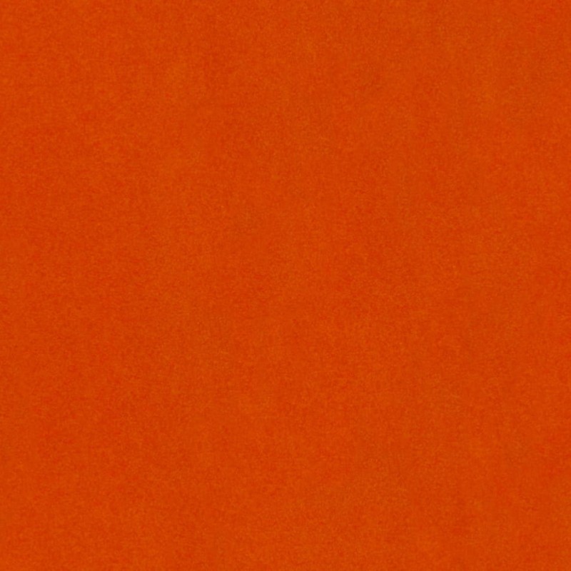 6974.jpg