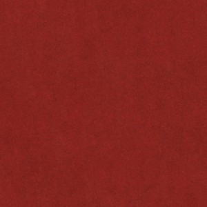 6986.jpg