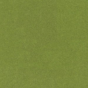 6994.jpg