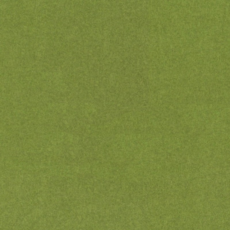 6994.jpg