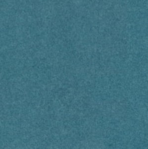 6996.jpg