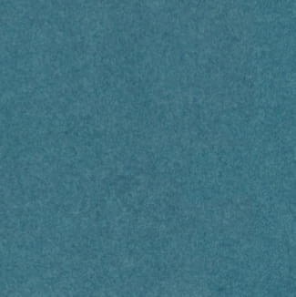 6996.jpg