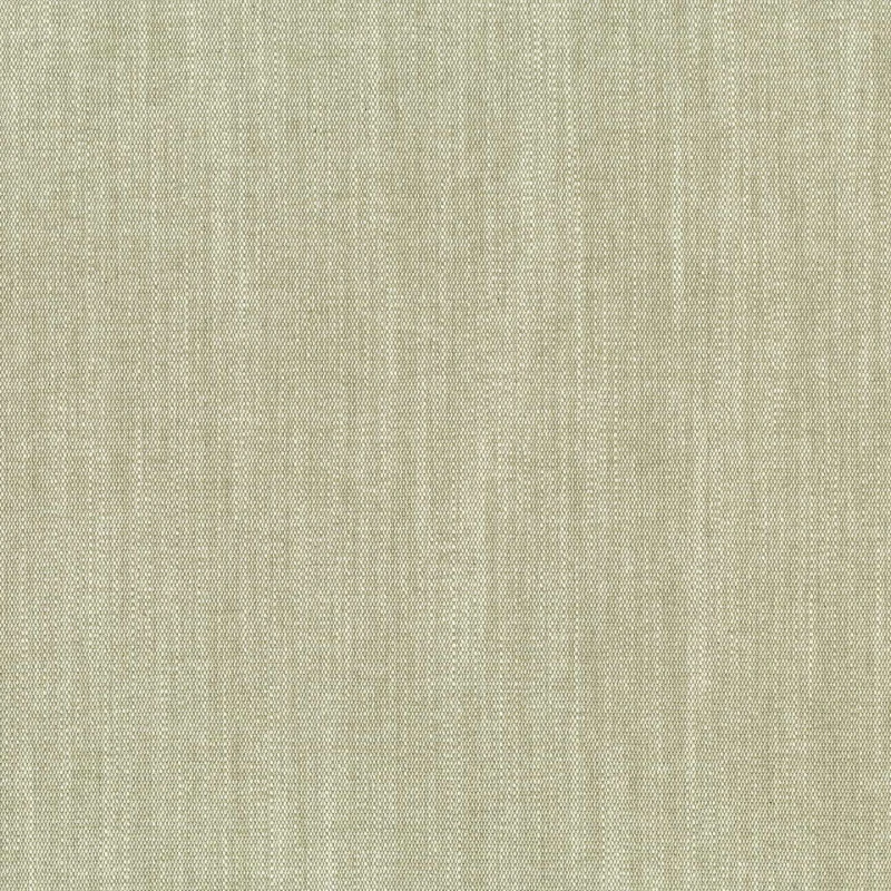 51875.jpg