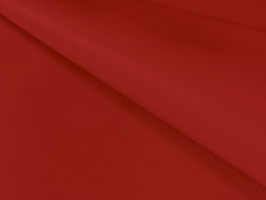7236.jpg