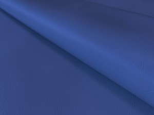 7239.jpg