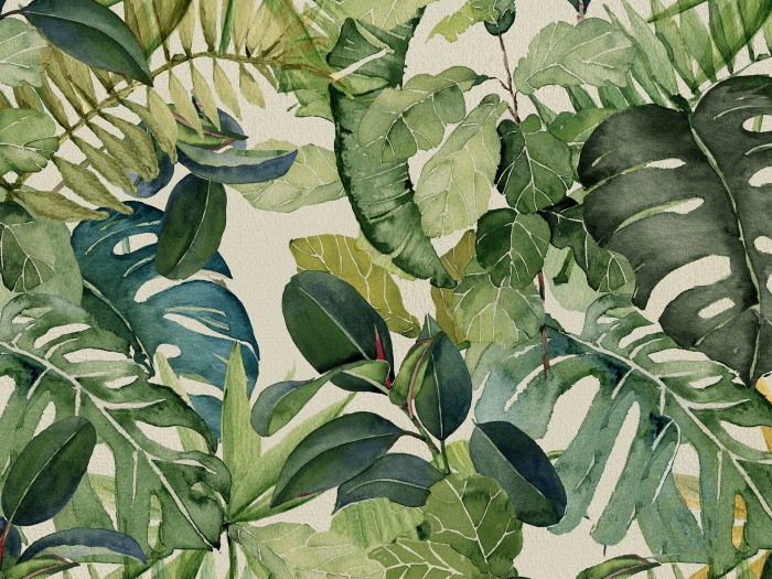 8510b0b37666a8edd2b51afe28605381