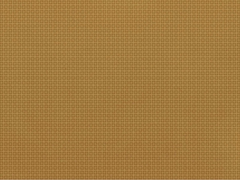 b0c0f83b6fa00824761a0157c0dfb342