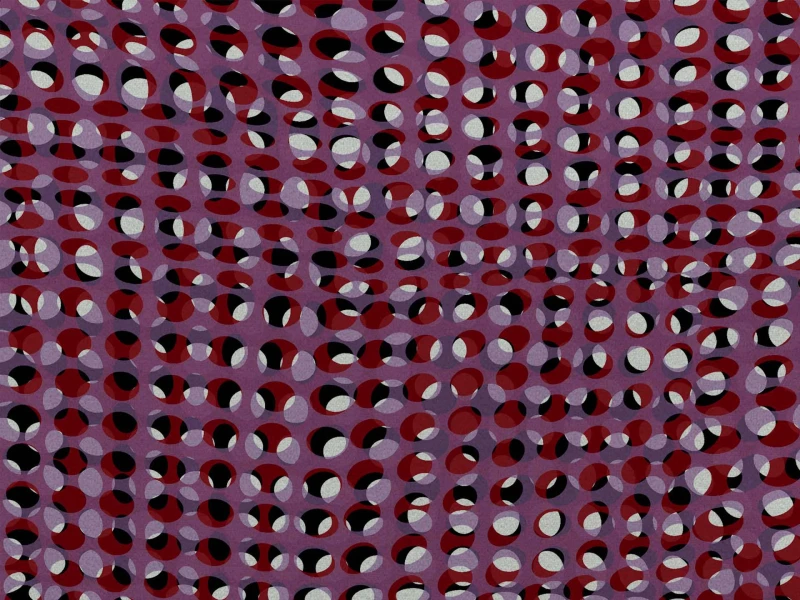 1c9f6fe78e0e5c009101fd07e9ec5ef2