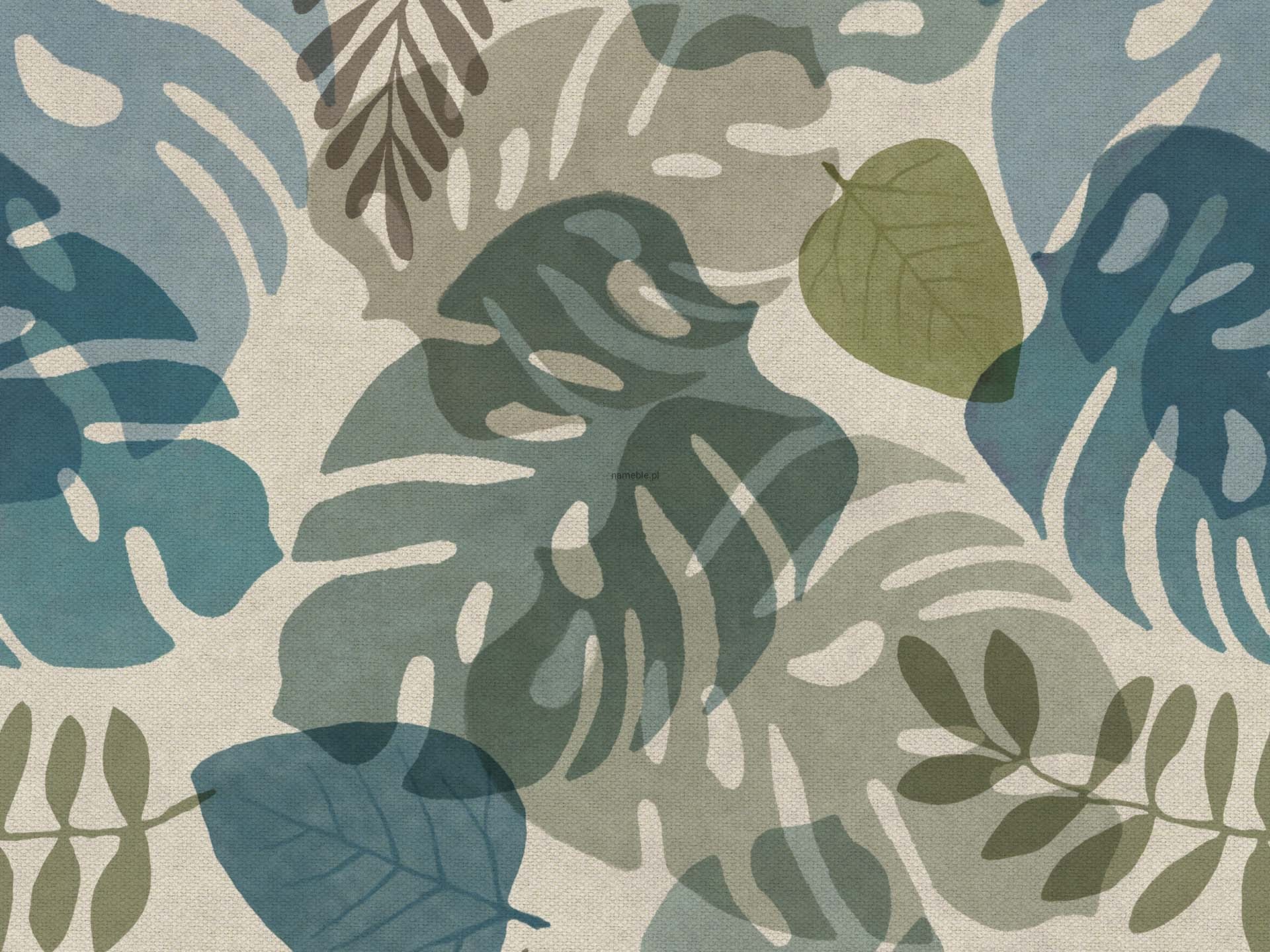 MONSTERA