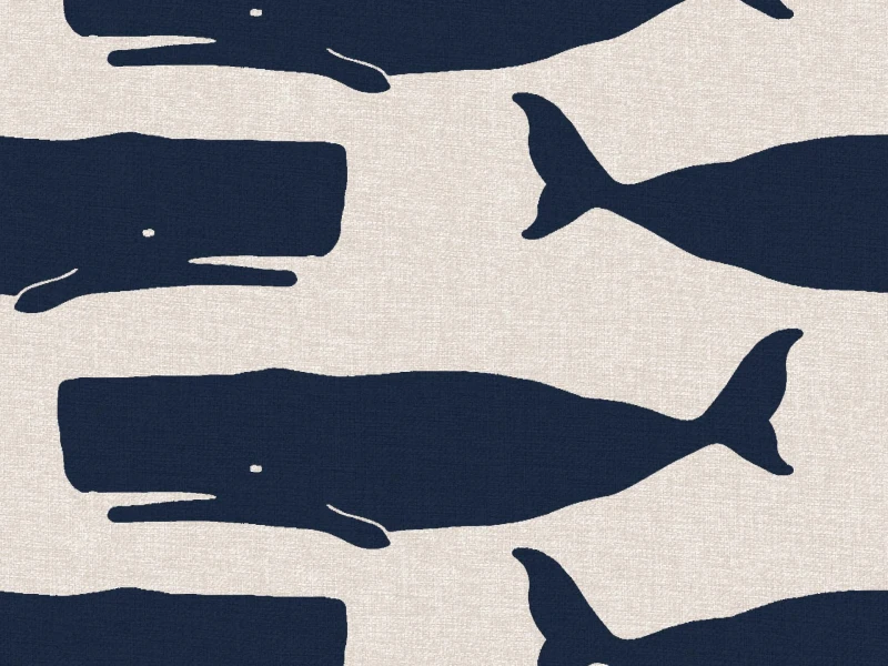 ec396cdc88479b43d7d64afd5b37021f