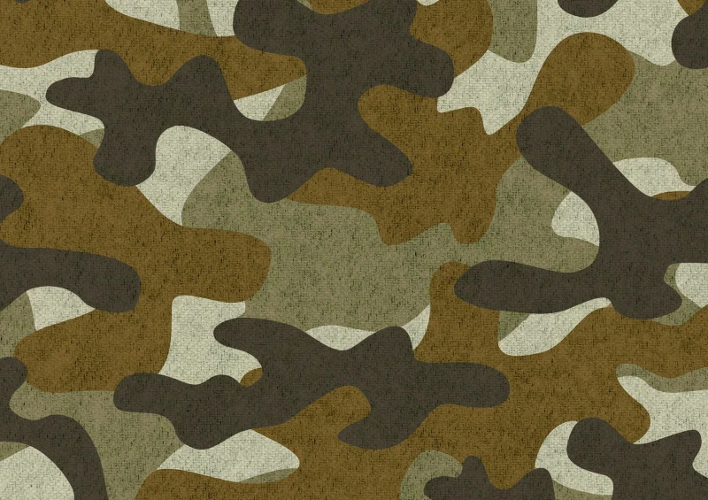 07ddedd81b7da45b3aad94fd9154f4a5