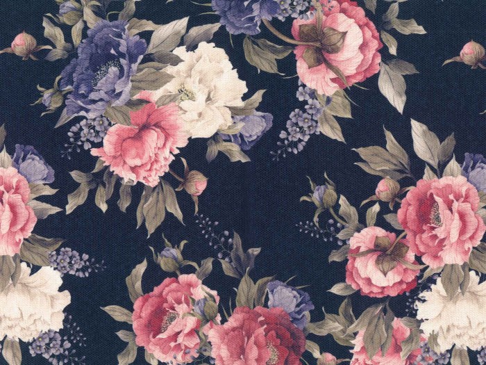 4d89853cd80531a9c2d427422521506e