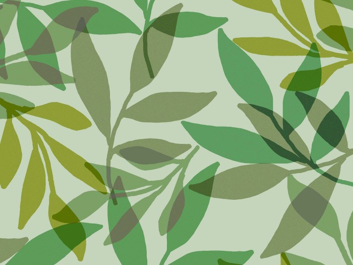 11a804e99d803654493c03a570bcf550