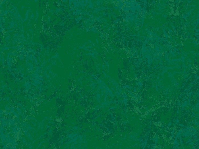 b15e4e72462c723d9338168cfac62d7c