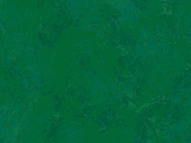 b15e4e72462c723d9338168cfac62d7c