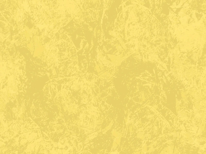 594de43ff6bc3548972963dae05d49a5